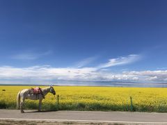 -青海湖国家重点风景名胜区