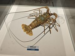 -陕西自然博物馆