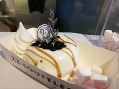 -狐狸和向日葵(北京路店)