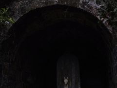 -白鹿洞书院