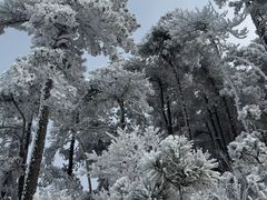 -四明山国家森林公园