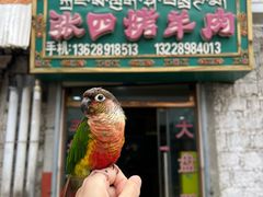 -张四烤羊肉(西藏自治区拉萨市丹杰林巷店)