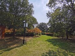 -梁鸿国家湿地公园