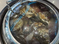 -大锅强·蒸海鲜青岛菜(吾悦广场店)