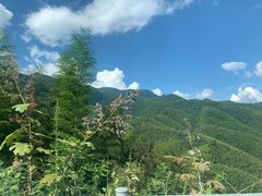 -大围山国家森林公园