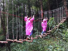 -梦幻奥陶纪景区