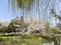 -堤角公园