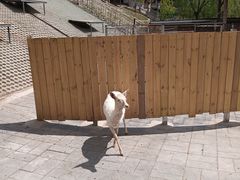 -北京鹿世界主题园