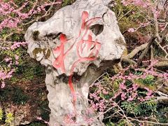 -杭州植物园