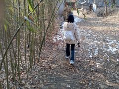 -竹泉村旅游度假区