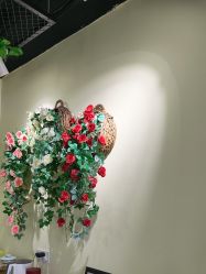 -变美丽半永久纹眉连锁·机器野生眉•洗眉