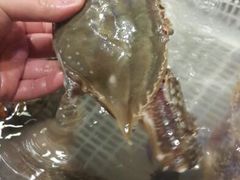 android_upload_pic-沈家门海鲜夜排档(东港店)