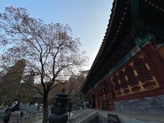-香山公园