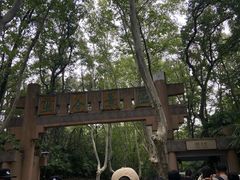 -灵谷景区