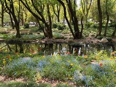 -上海共青森林公园