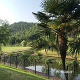 莫干山观云高尔夫庄园，位于中国千年名山