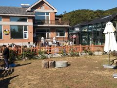 -北马山庄植趣咖啡