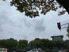 -上海中医药大学附属曙光医院(东部)