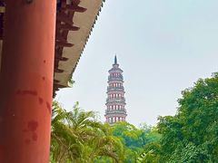 -顺峰山公园