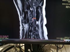 -北京派仕佳德动物医院·超导核磁·CT·神经科·骨科·内外科·急重症管理中心