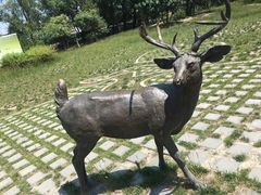 -北京麋鹿生态实验中心