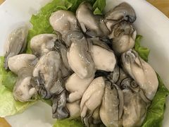 -金砂阿洲鱼册店