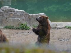 -杭州野生动物世界