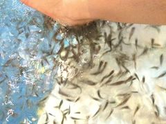 -水晶之星洗浴温泉汗蒸