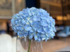 -翠湖宾馆·中餐厅