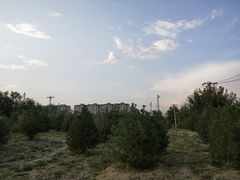 -桃苑公园
