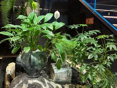 -连鹭海鲜·海肠捞饭·海胆饭(星海店)