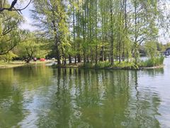 -上海共青森林公园