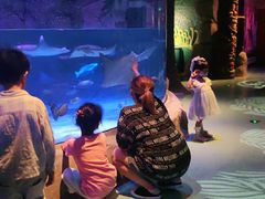 -沈阳海洋探索中心