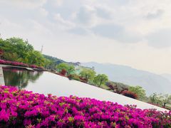 -江南天池