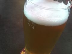 -Boxing Cat Brewery拳击猫精酿啤酒馆(永福店)
