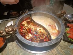 -销魂美蛙鱼头火锅(上海首店)