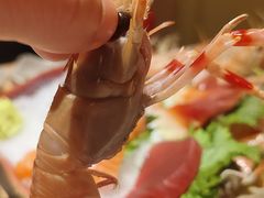 -贵木日本料理·铁板烧(新地假日广场店)