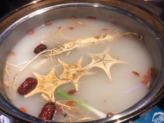 鲜人参锅底-千岛蚝高压锅生蚝·人参火锅(白云万达店)