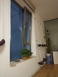 -酉嘉瑜伽YO+YOGA