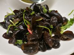 凉拌木耳-天福苑(崇宁路店)