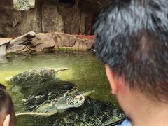 -长鹿旅游休博园