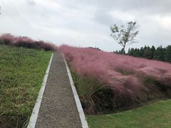 -同里国家湿地公园
