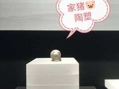 -上海崧泽遗址博物馆