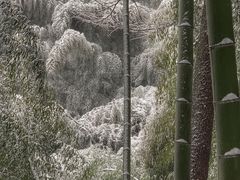 -藏龙百瀑风景区