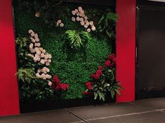 -辛香味烧鱼馆·非遗技艺·排骨红烧肉(光谷医药园店)