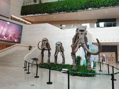 -重庆自然博物馆(新馆)