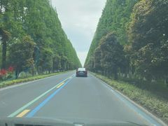 -黄海国家森林公园