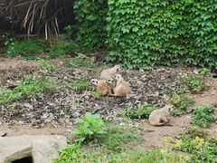 -宁波野生动物园