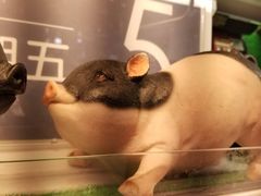 -盒马鲜生(丁香国际店)