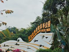 -西双版纳原始森林公园